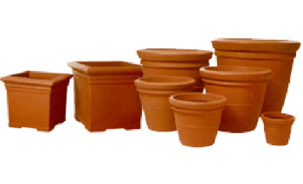 Southern Highlands Indoor Plant Hire, Terracotta pots